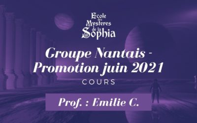 Protégé : EMS Groupe Nantais – Promotion juin 2021 – Prof. : Emilie C.