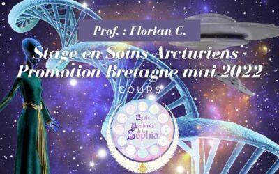 Protégé : Stage en Soins Arcturiens – Promotion Bretagne mai 2022