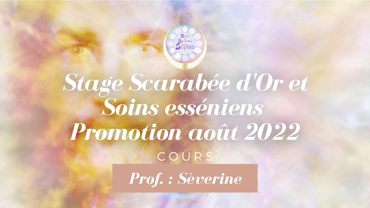 Miniature du cours
